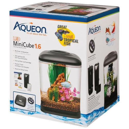 AQUEON MINI CUBE LED DESKTOP AQUARIUM KIT