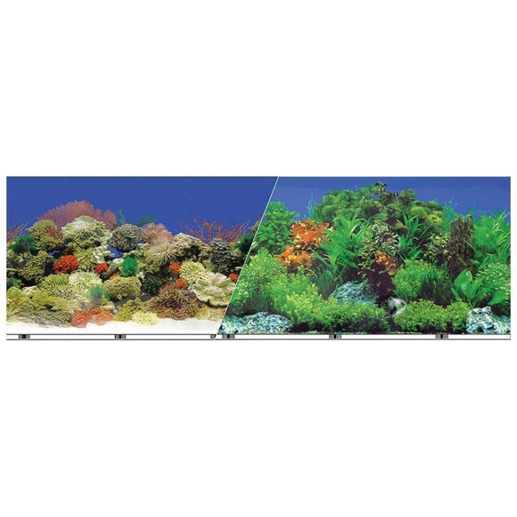 BLUE RIBBON DOUBLE-SIDED GARDEN/CARRIBBEAN CORAL BACKGROUND