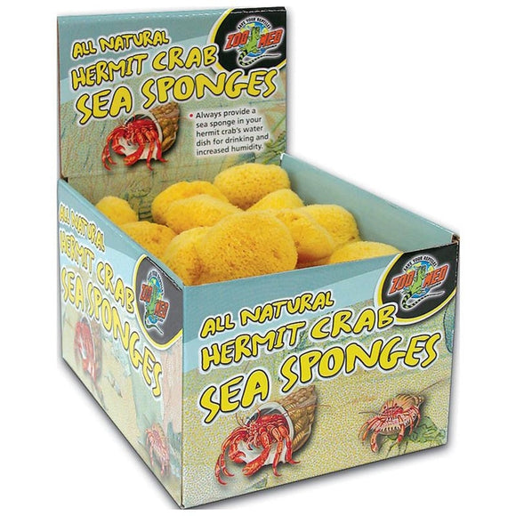 Hermit Crab Natural SEA Sponge SPONGES - for Cage & Water Dish - Multiple  Sizes (2 INCH - 3 INCH Size)